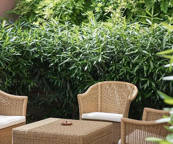 Guest house Boutique 3 0 4*